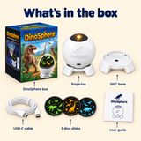 What's in the DinoSphere box